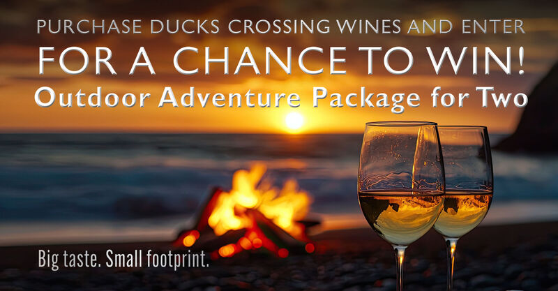 two glasses of wine on the beach at sunset