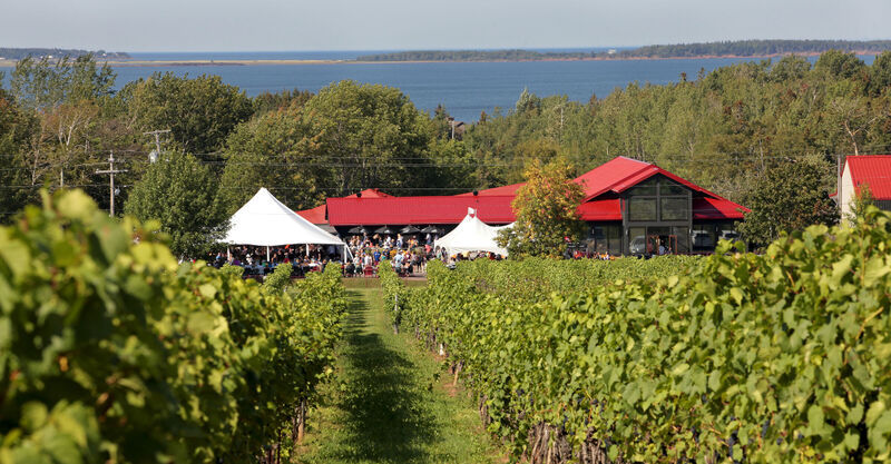Westjet Magazine: Nova Scotia’s Best Wine Regions (and Where to Sip)
