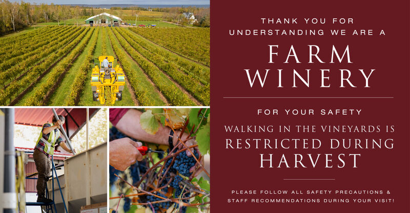 Thank you for understanding we are a farm winery.
