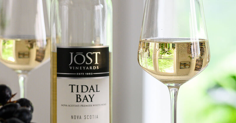 Jost Tidal Bay on a sunny kitchen counter