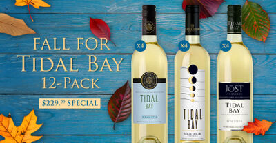 Fall for Tidal Bay Wine 12-Pack Case